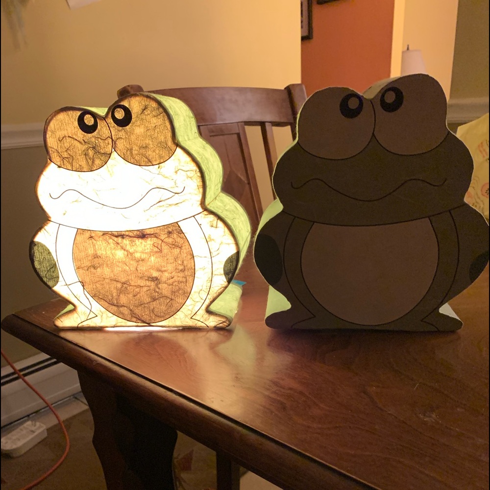 Paper Light Frog Lamps - Picture 8 of 8